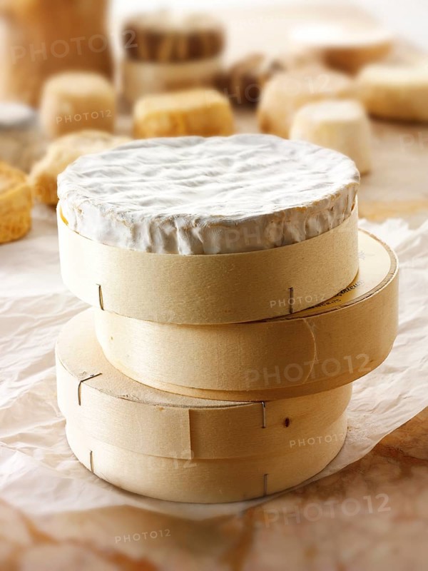 French Camembert