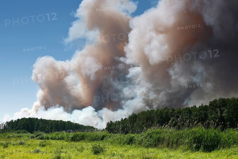 Fire on a grain field near Tutow