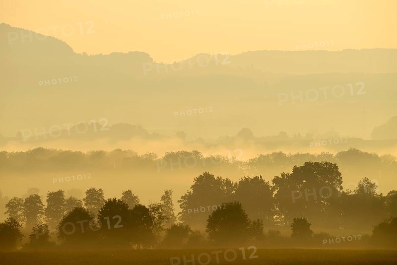 Morning fog atmosphere in Reuss Valley