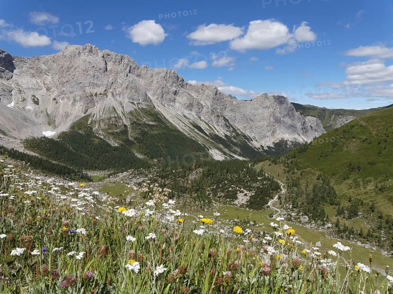 Obere Wolayer Alm mountain pasture with the Biegengebirge Mountains