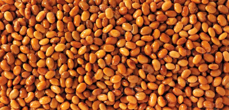 Pinto beans