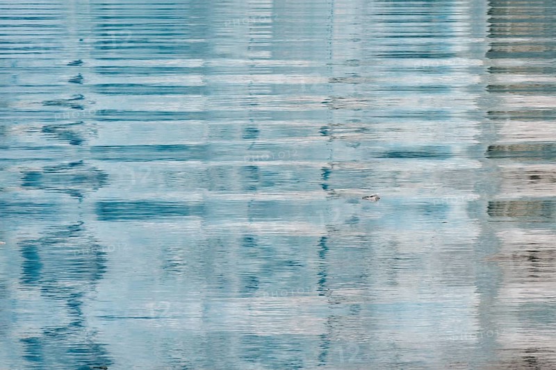 Ripples caused by glacial ice avalanche