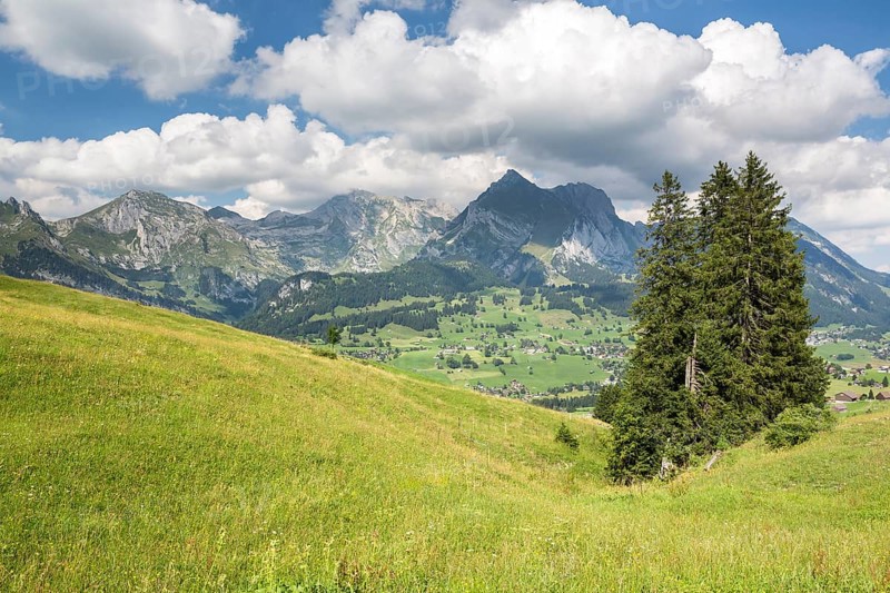 View from Klangweg or Sound Trail on Toggenburg Mountain towards the Alpstein Mountains with Saentis Mountain