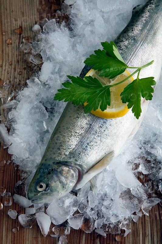 Freshly gutted brook trout with ice on a wooden surface