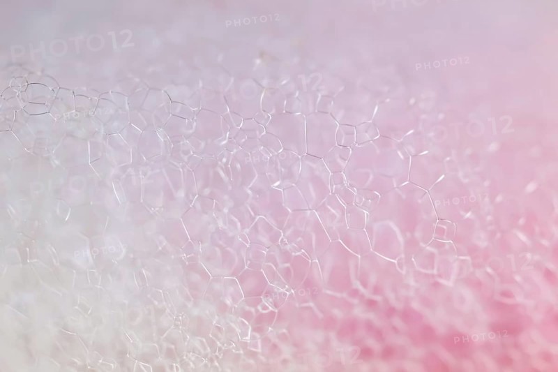 Bubbles