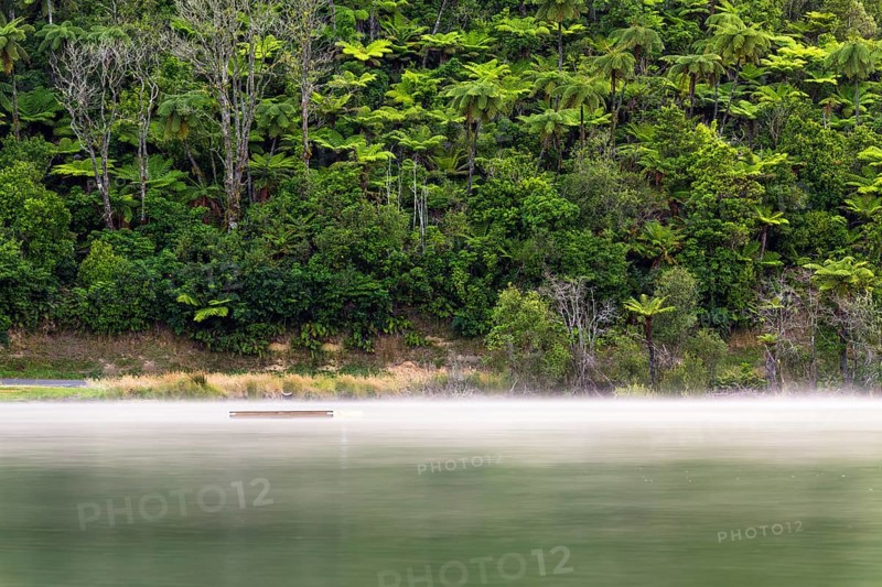 Mist over Lake Tikitapu in the morning