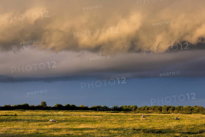 Dramatic clouds over a sheep pasture