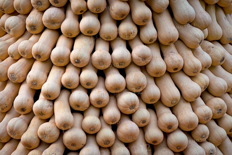 Bottle gourds
