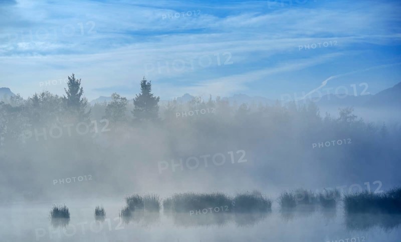 Morning fog over a moor pond