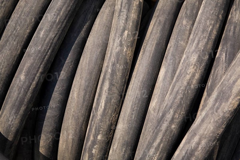 Rolled up black rubber watering hose