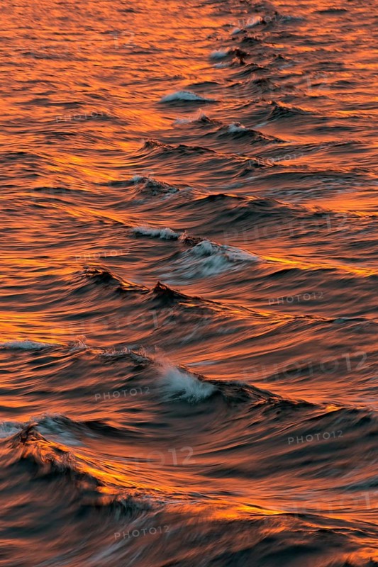 Bow waves in the evening light