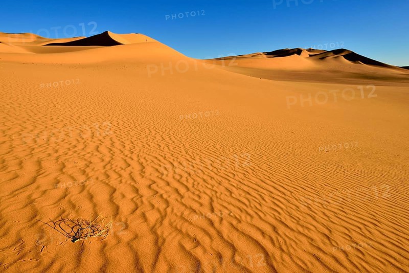 Sand dunes in the Sahara desert