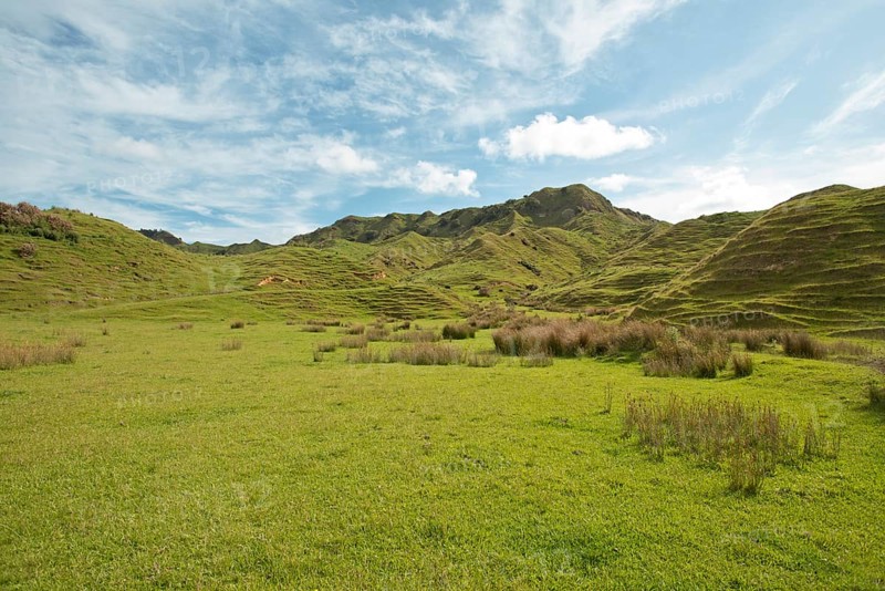 Landscape with green hills