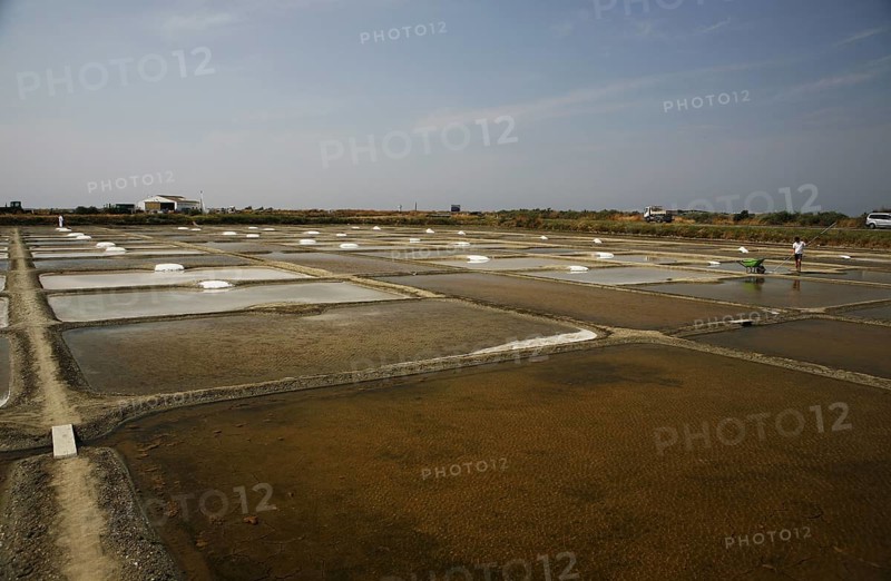 Salt farm