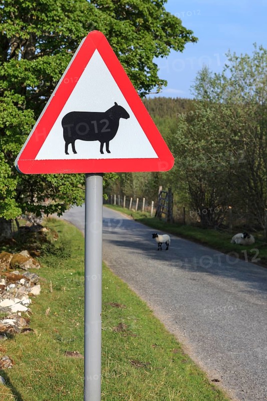 Street sign