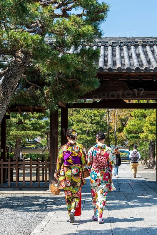 Japanese women dressed with kimono