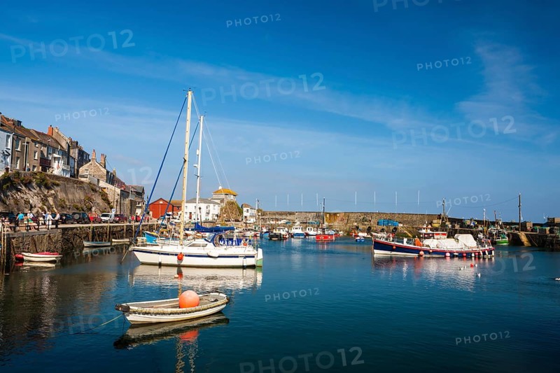Harbour with fishing boats