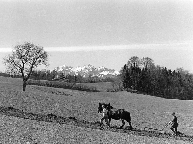 Field order with double plough and horse