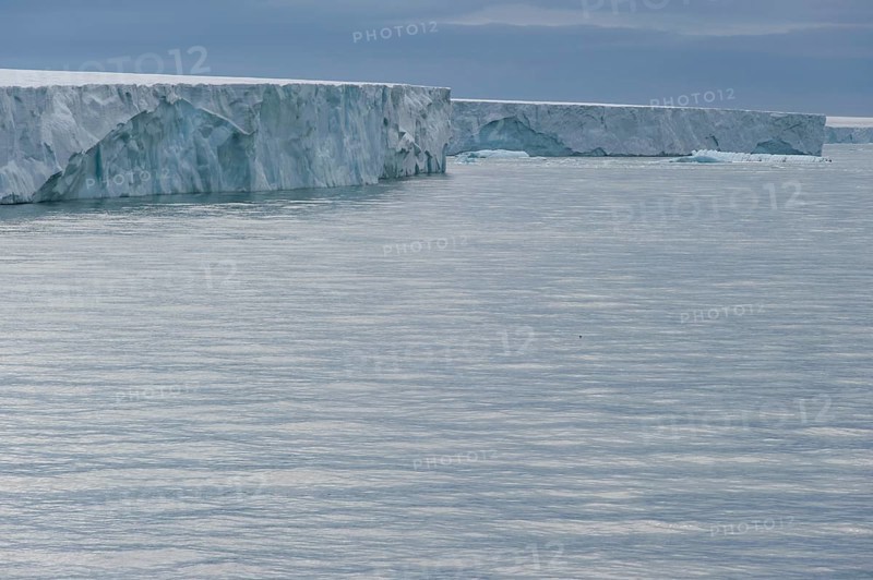 Brasvellbreen