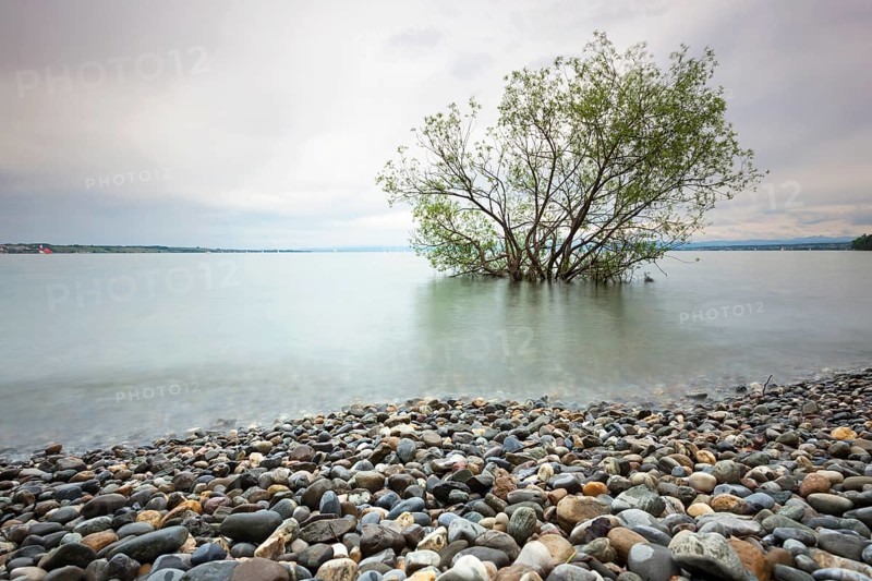 Shore during high waters at Hoernle