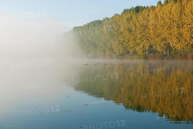 Pond landscape with fog in autumn