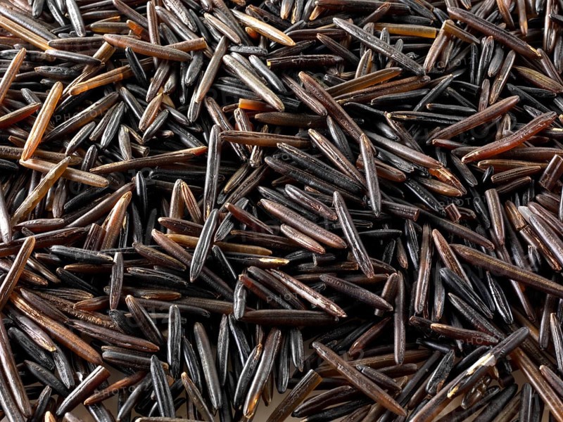 Wild rice grains
