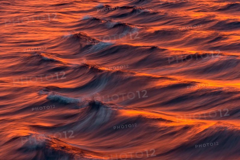 Bow waves in the evening light