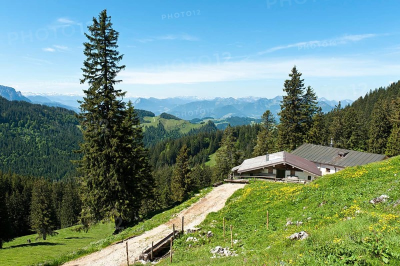 Hut on the Schreck-Alm alpine pasture