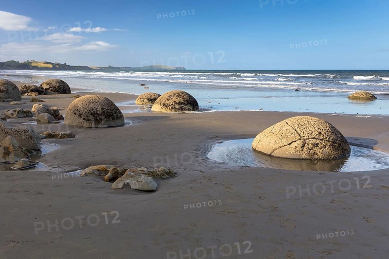 Moeraki Boulders on the beach in the evening light