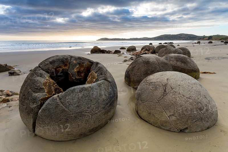 Moeraki Boulders on the beach in the early morning