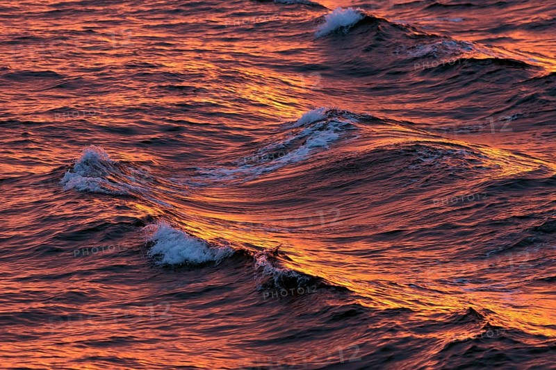 Waves in the evening light