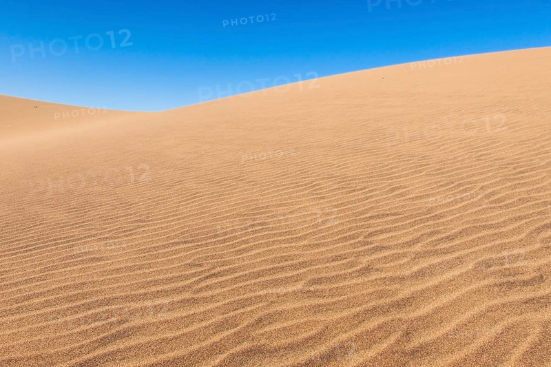 Dune belt of Long Beach