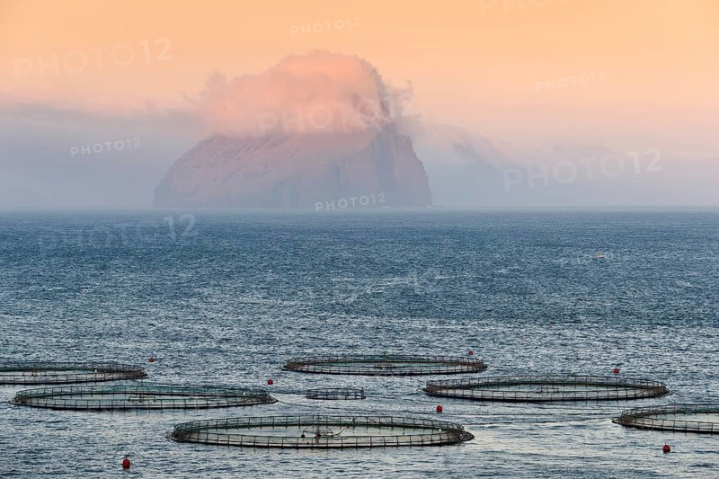 Fish farm