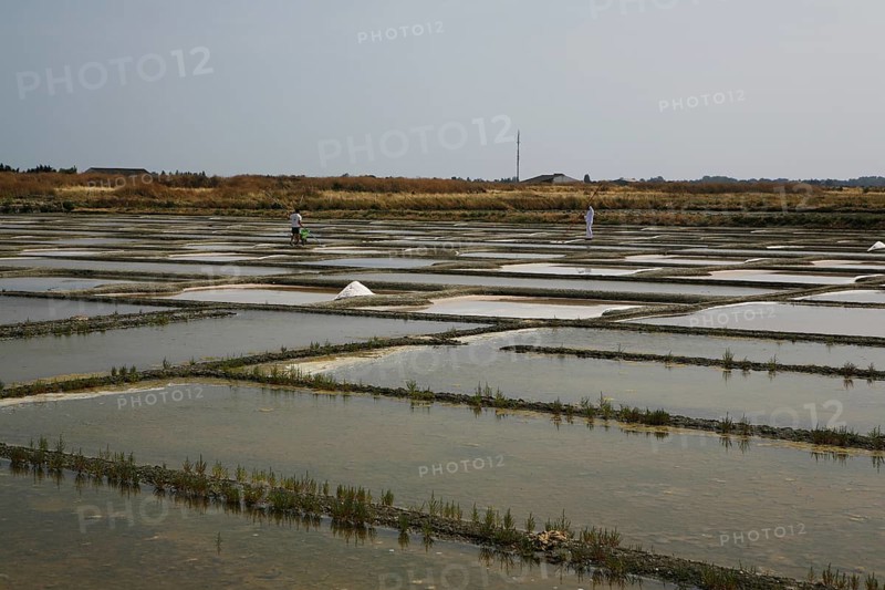 Salt farm