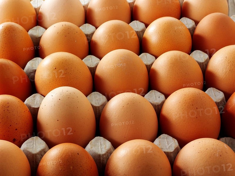 Fresh brown eggs from free-range