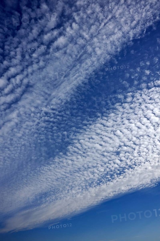 Fluffy clouds or cirrocumulus clouds