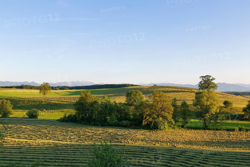 Cultural landscape with mown meadows