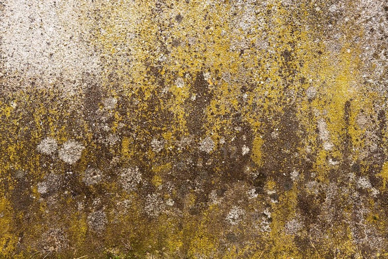 Texture