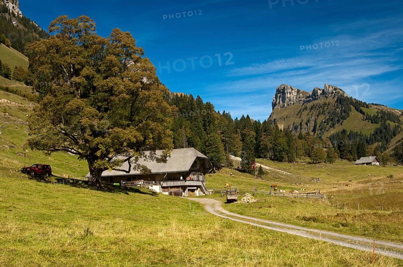 Dirt road leading to a mountain farm