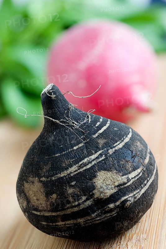 Black radish