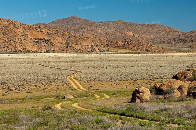 Trail for off-road vehicles through a steppe landscape