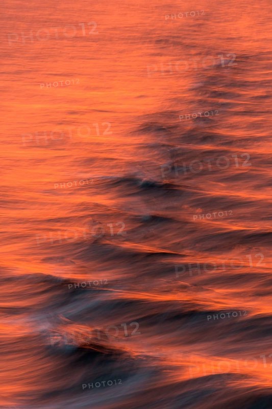Bow waves in the evening light