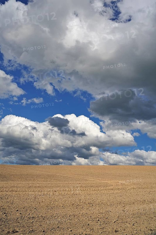 Freshly sown field with cumulus clouds