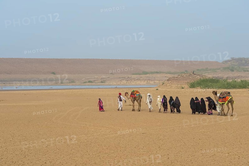Rabari tribe people walking in the desert with a dromedary