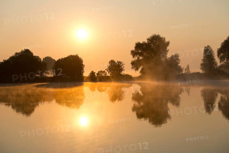Sunrise over a pond landscape