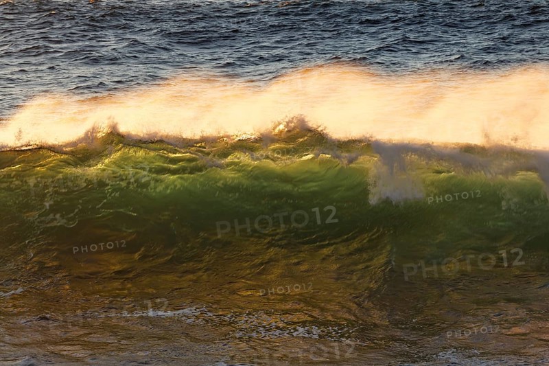 Ocean waves in the evening light