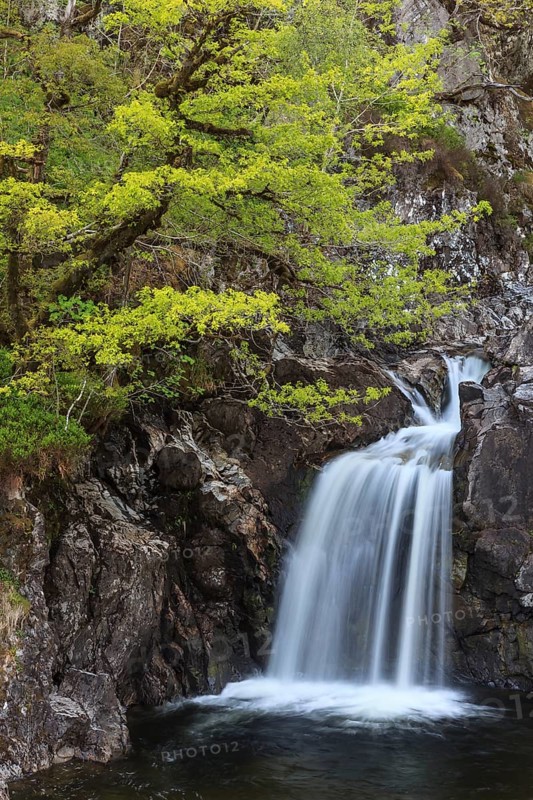 Waterfall in a forest