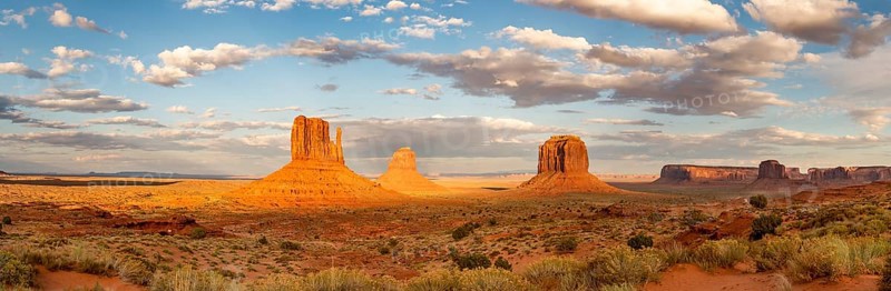 Evening Light