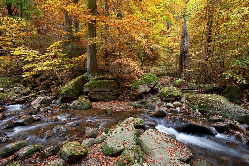 Ilse River in Ilsetal valley in autumn