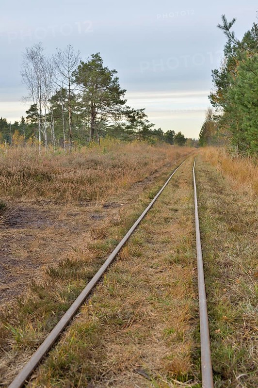 Tracks of a narrow-gauge peat railway